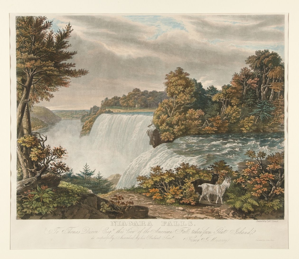 Cascate del Niagara. A Thomas Dixon Esq. è rispettosamente dedicata questa veduta della cascata americana, ripresa da Goat Island da William James Bennett