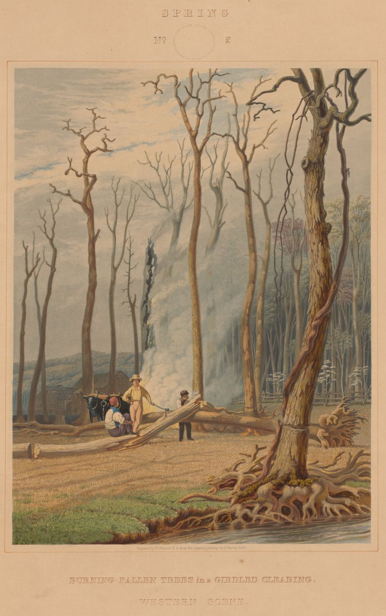 Primavera--Bruciando Alberi Caduti in una Radura Cintata. Scena Occidentale da William James Bennett after George Harvey