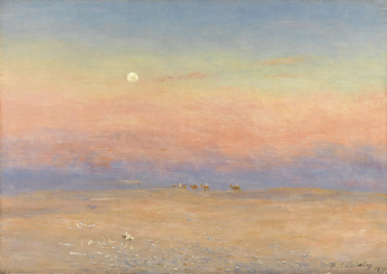 Carovana nel deserto da William James Laidlay