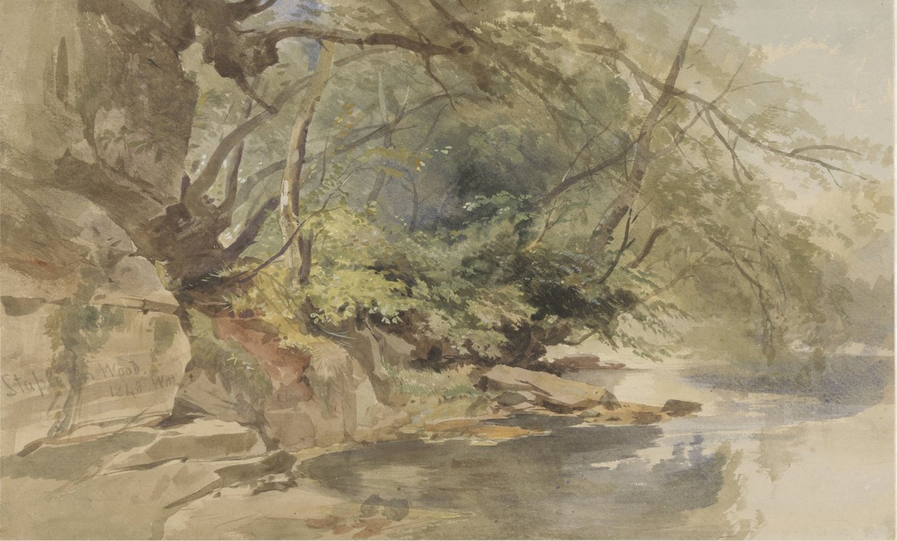 Veduta di Stapleton Wood, vicino a Bristol da William James Muller