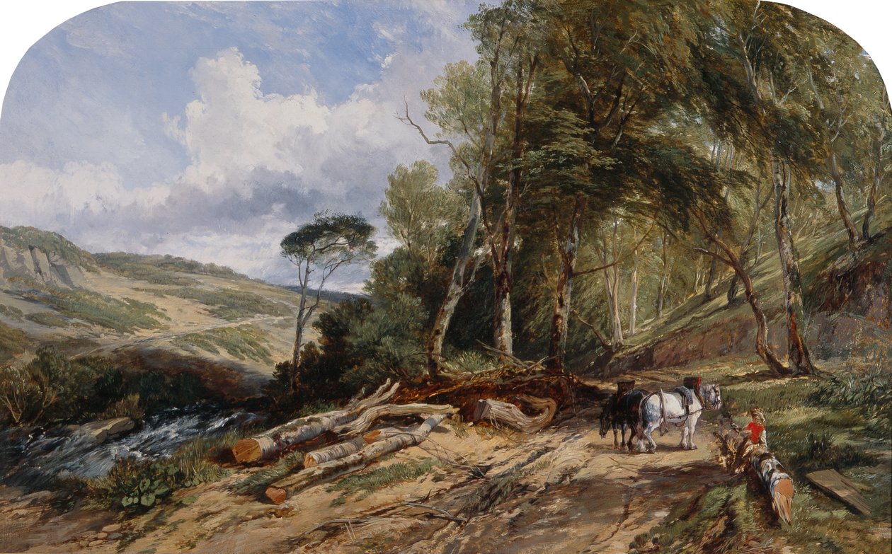 Trasporto di legname da William James Muller