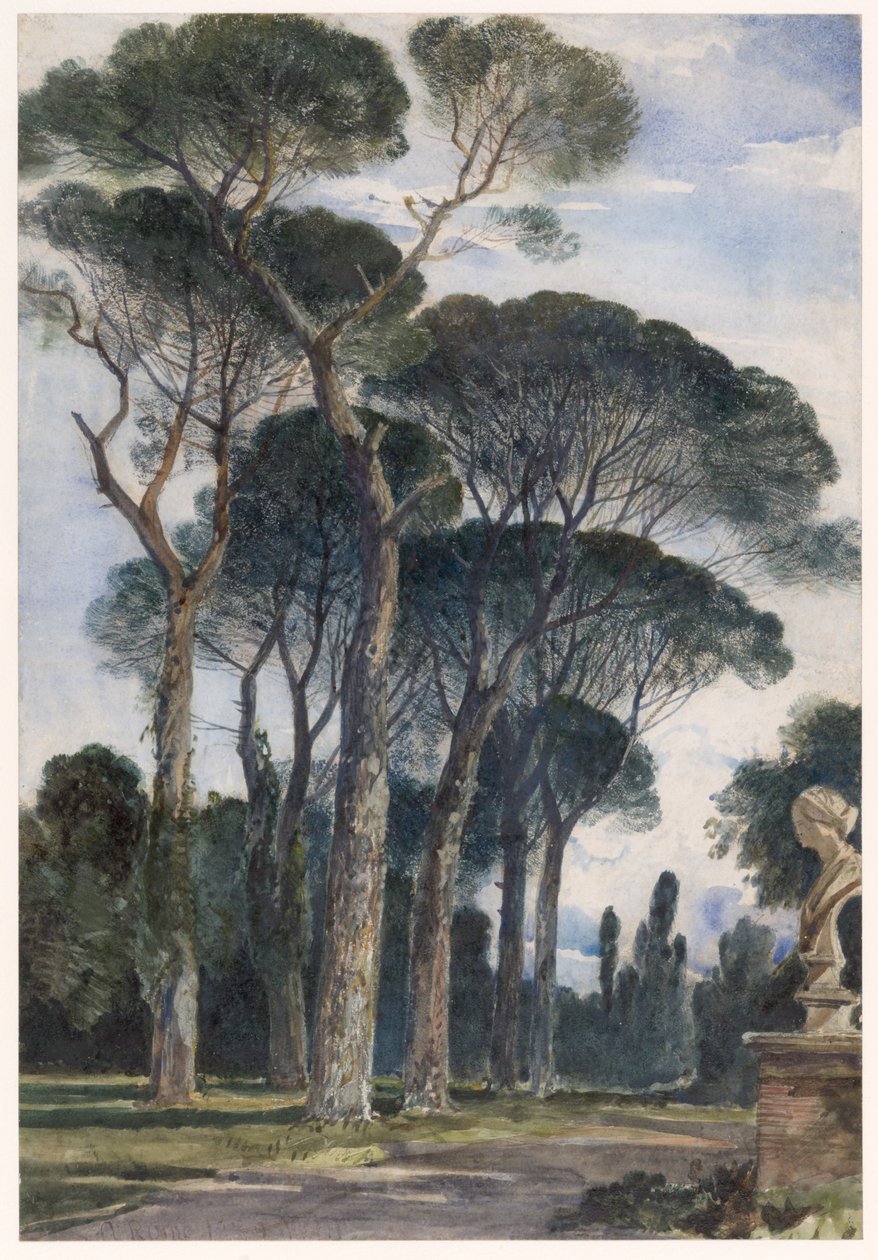 Pini domestici a Villa Borghese, Roma da William James Muller