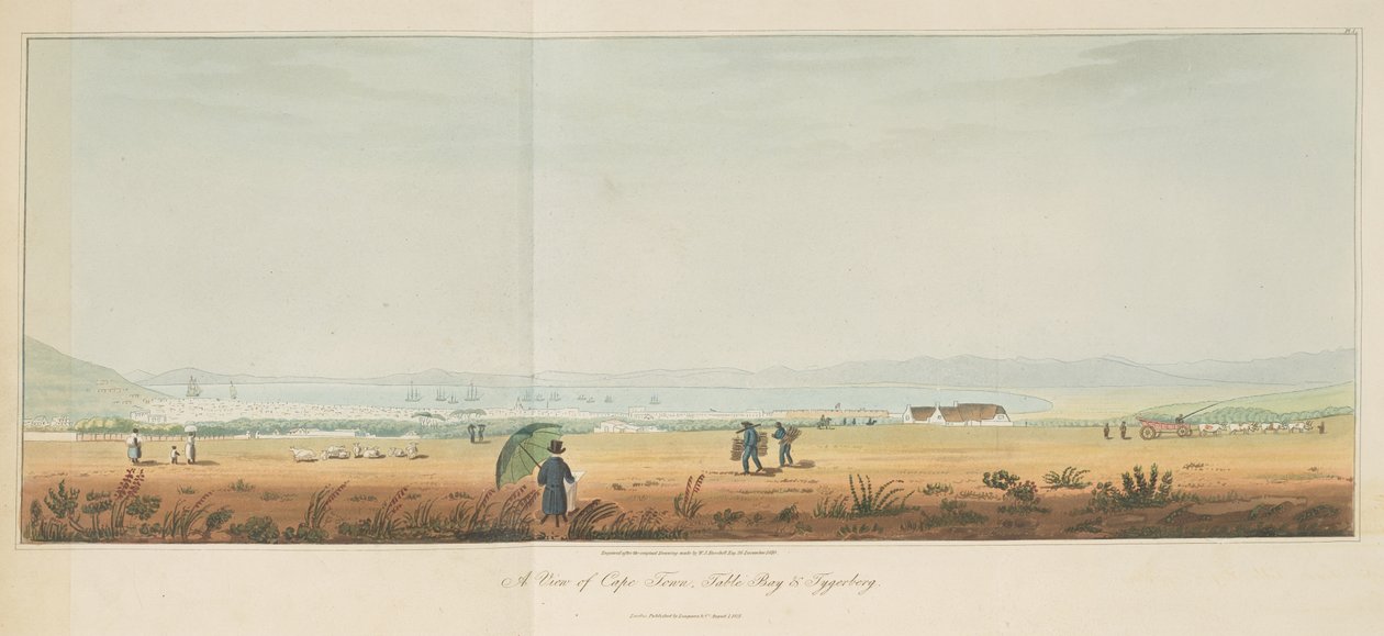 Veduta di Città del Capo, Table Bay e Tygerberg, da Travels in the Interior of Southern Africa, vol. 1 da William John (after) Burchell