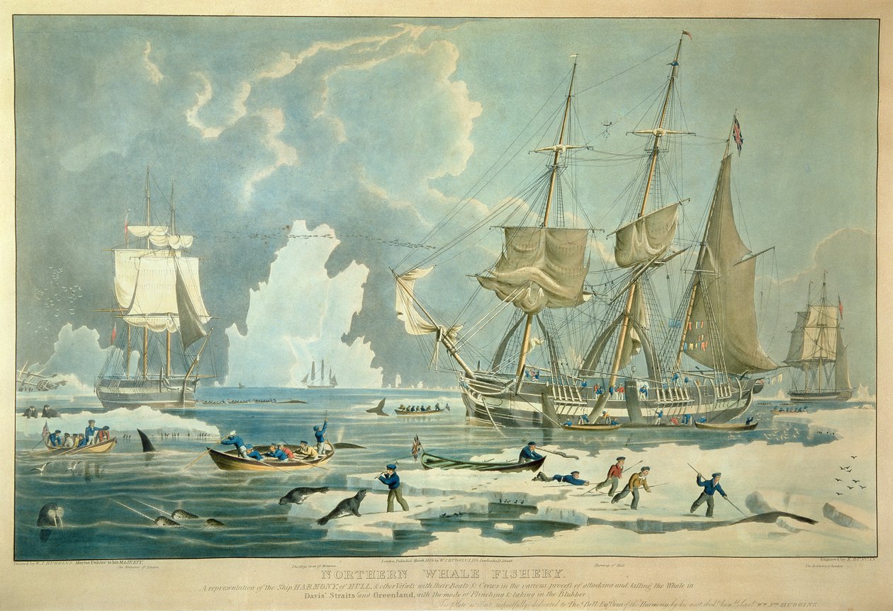 Pesca della balena del nord, incisione di E. Duncan da William John (after) Huggins