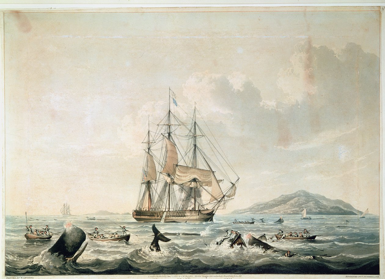 Pesca delle balene nei mari del sud, incisione di T. Sutherland da William John (after) Huggins