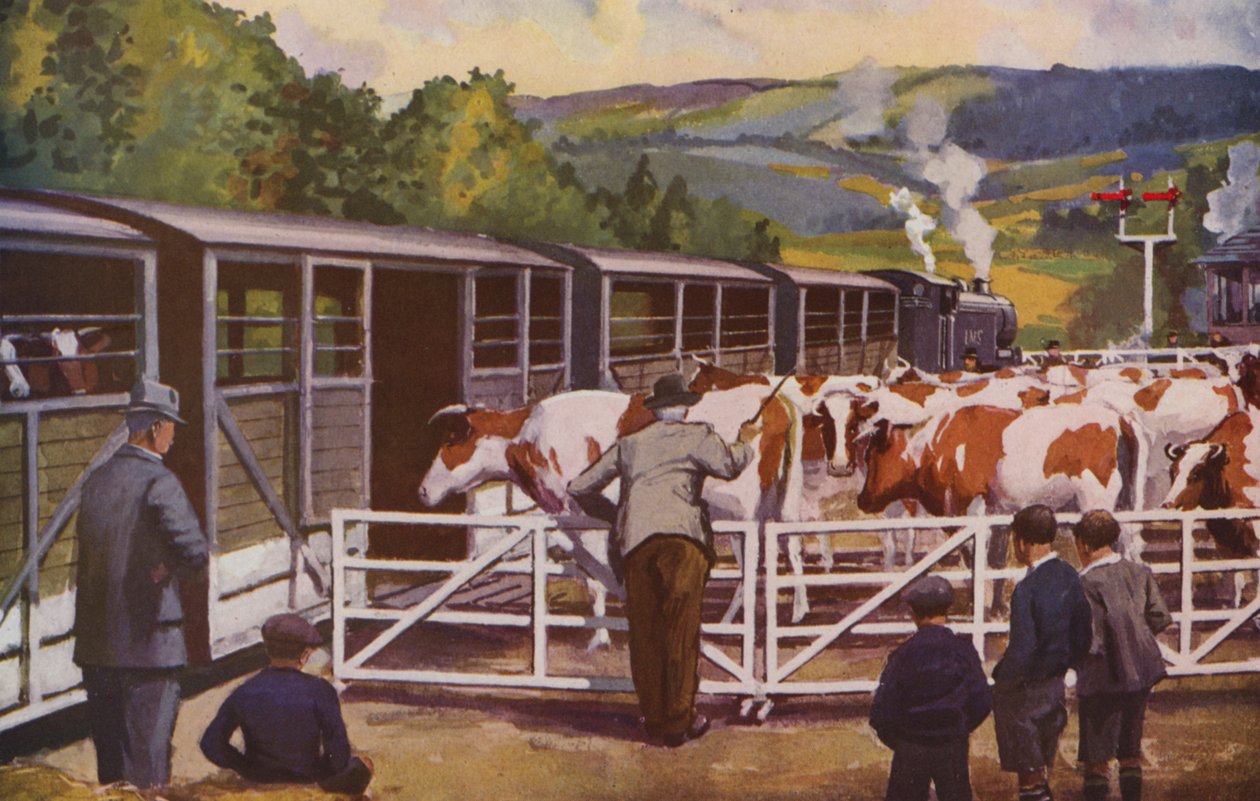 Un treno bestiame che carica in una stazione di campagna (litografia a colori) da William John Patton McDowell