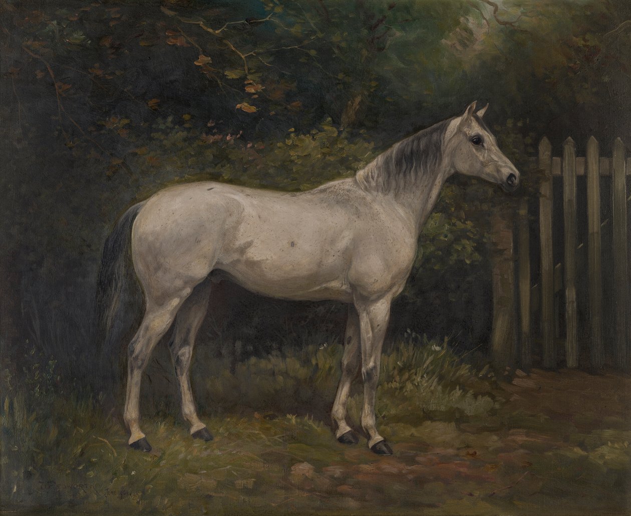 Pickles: un pony Basuto da William Josiah Redworth