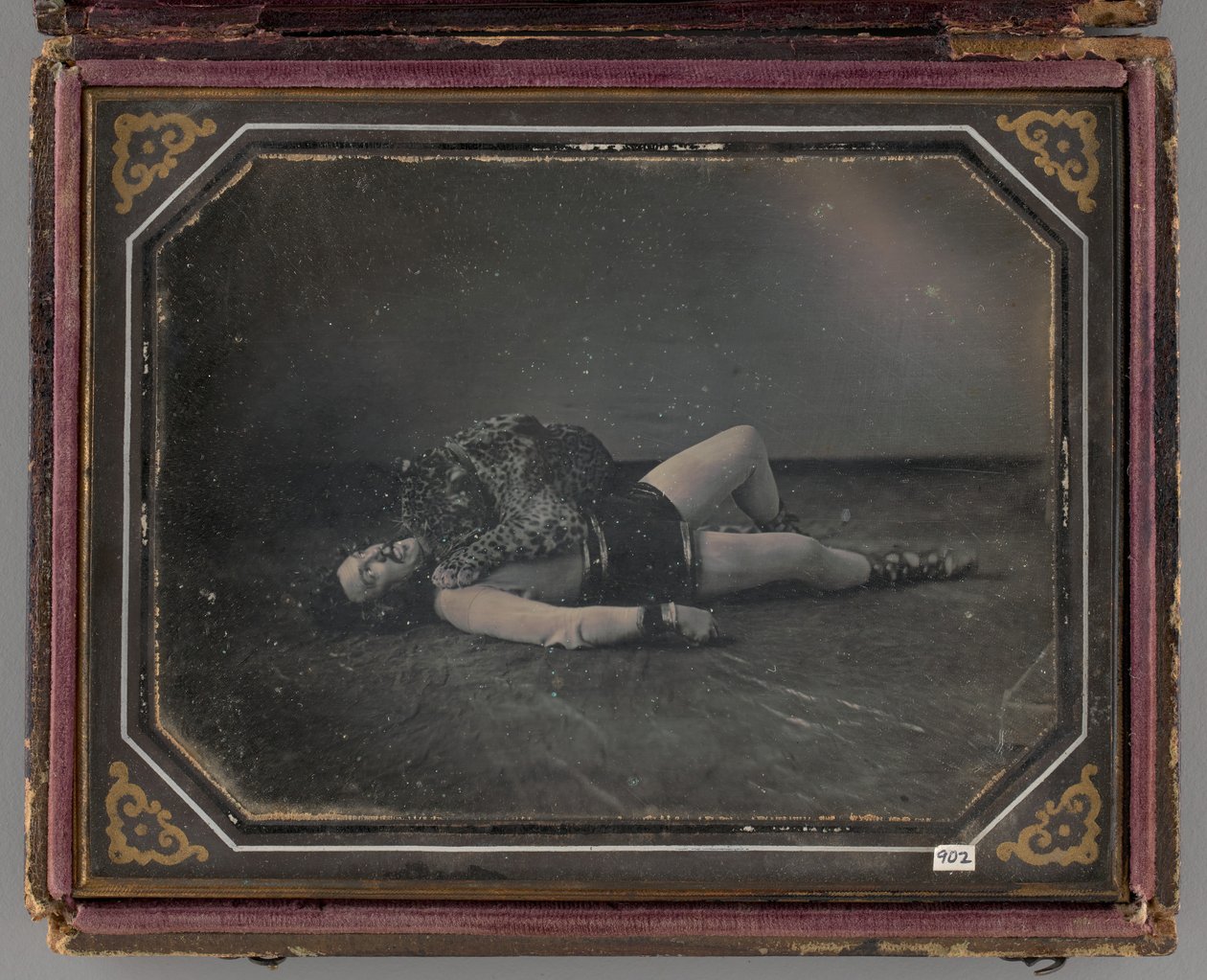 Ritratto Senza Titolo del Domatore di Animali Selvatici Jacob Driesbach con Giaguaro, 1850 da William Langenheim