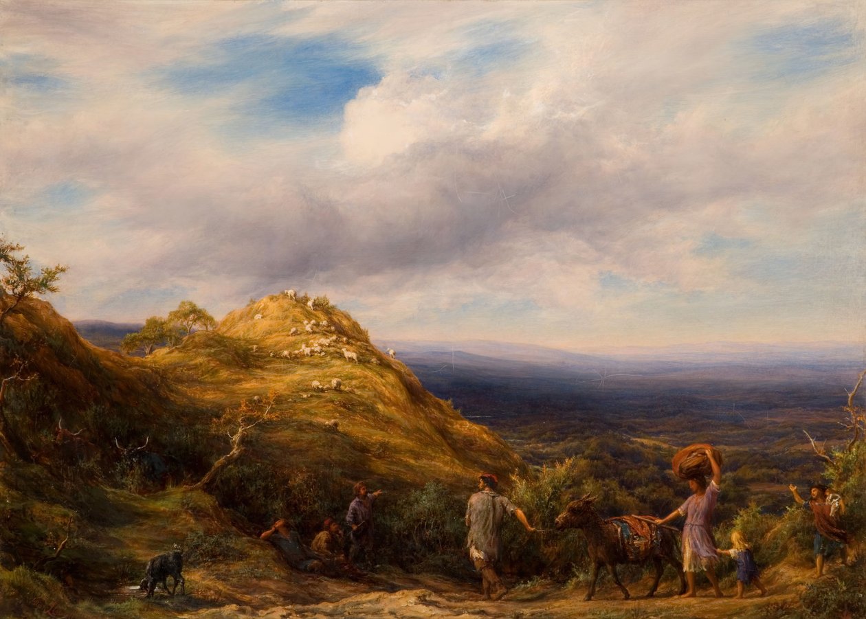 Una valle boscosa e collina da William Linnell