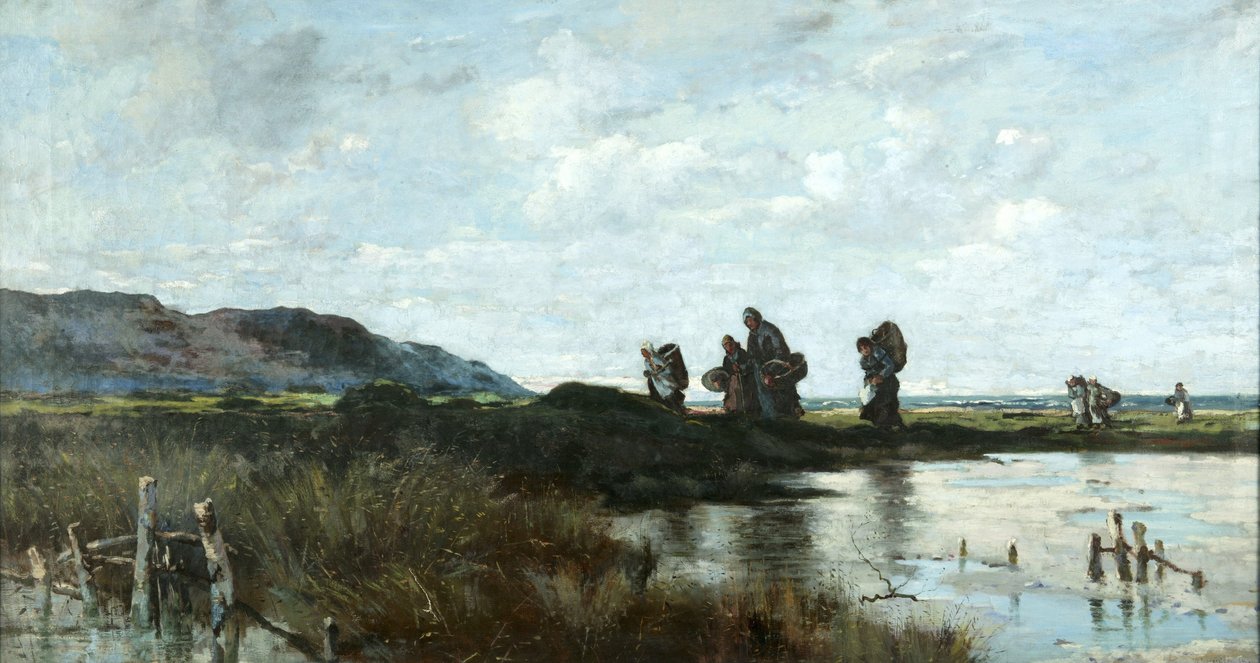 Verso casa, palude di Conway da William Meredith