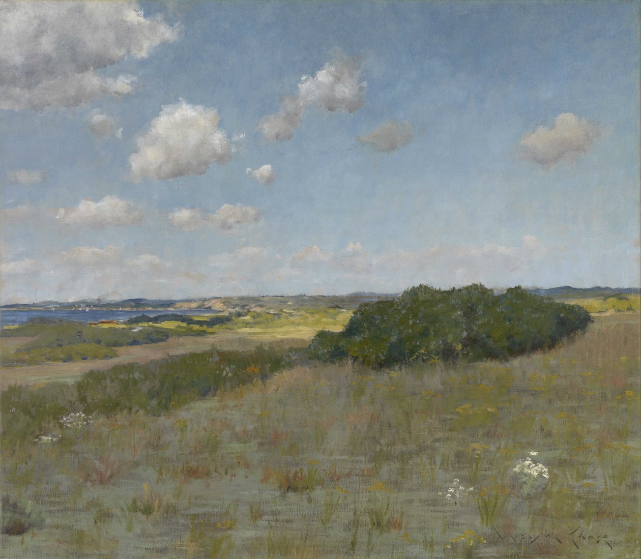 Luce del sole e ombra, Shinnecock Hills da William Merritt Chase