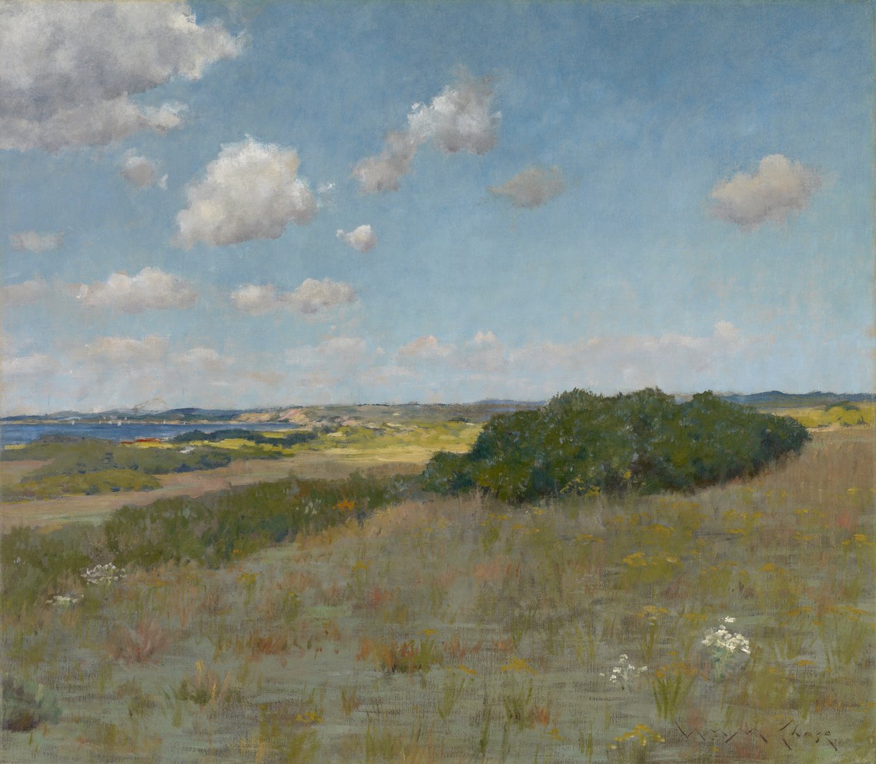 Luce del sole e ombra, Shinnecock Hills, c.1895 da William Merritt Chase