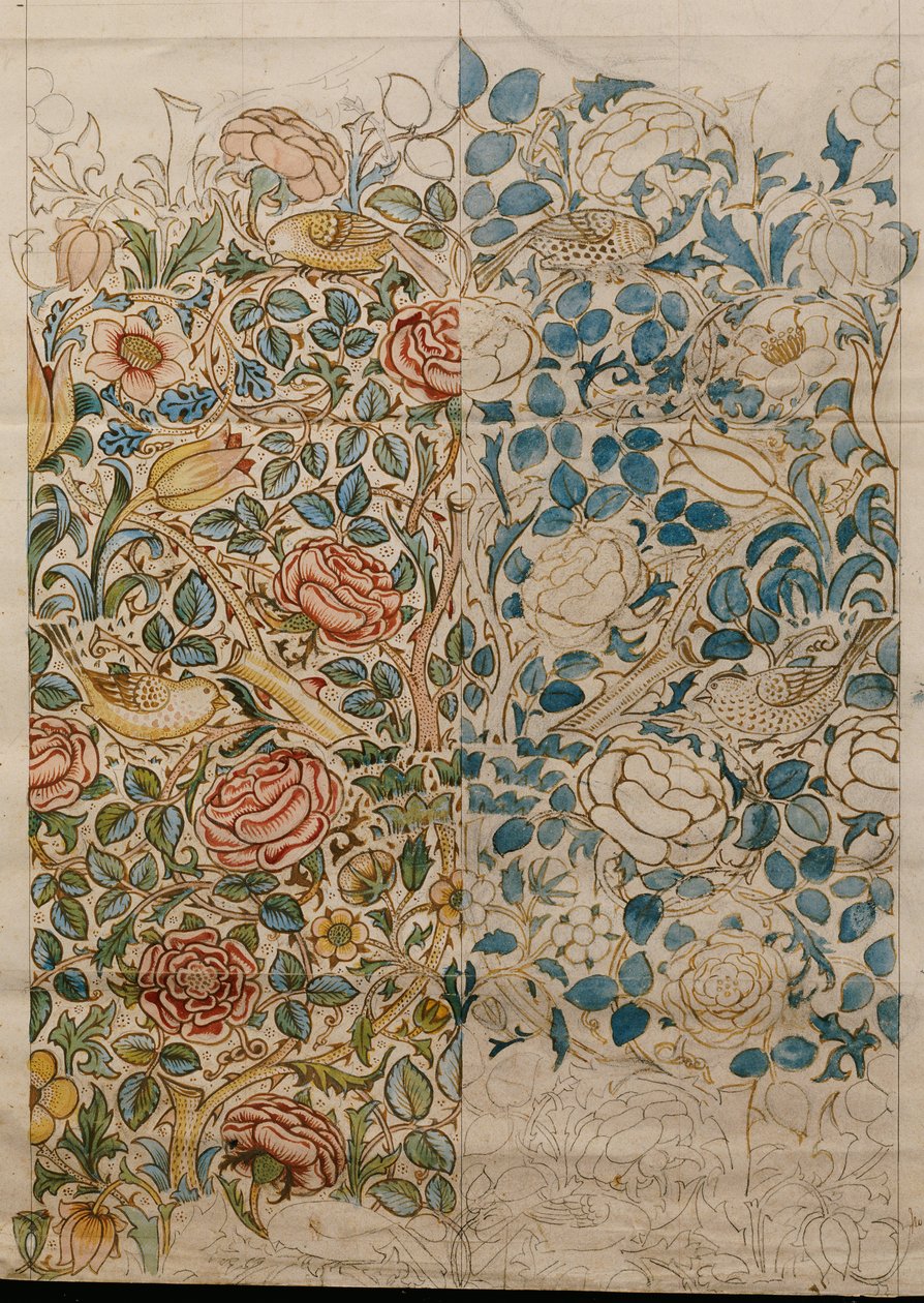 Rosa, disegno per chintz da William Morris
