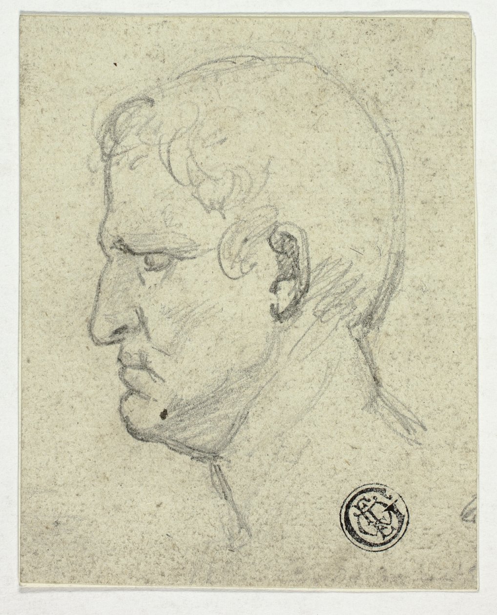 Testa dell