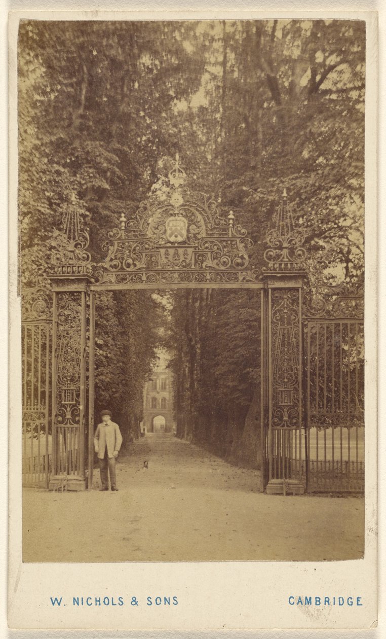 Viale Trinity Cole da William Nichols and Sons