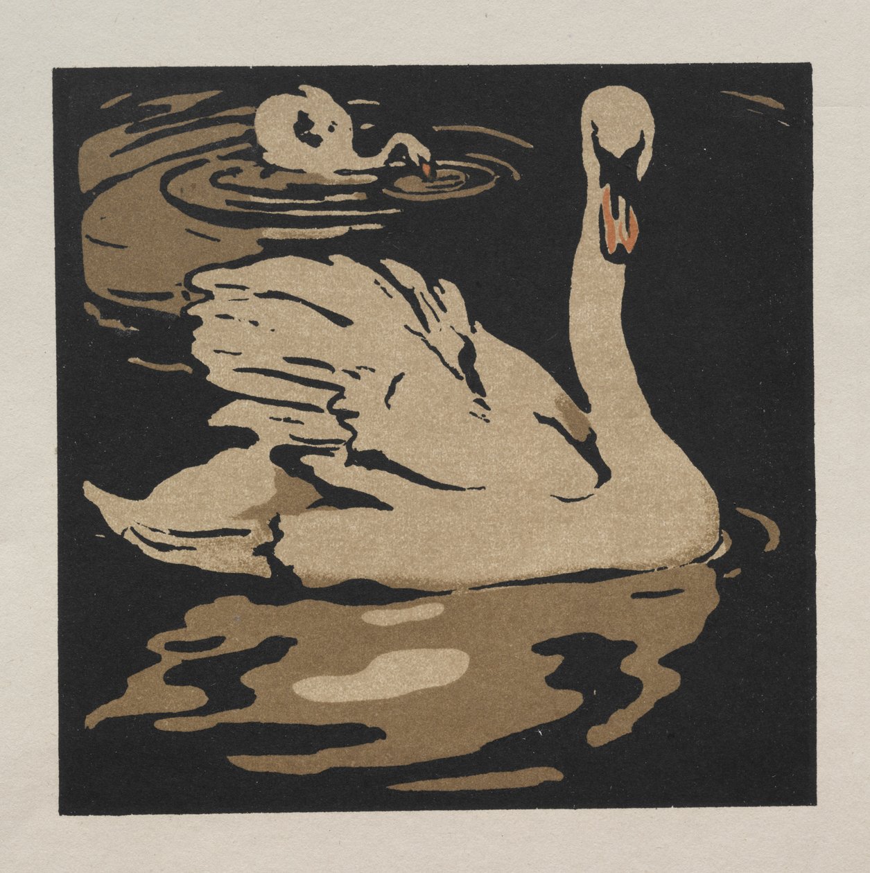 Il libro quadrato degli animali: Il bellissimo cigno da William Nicholson