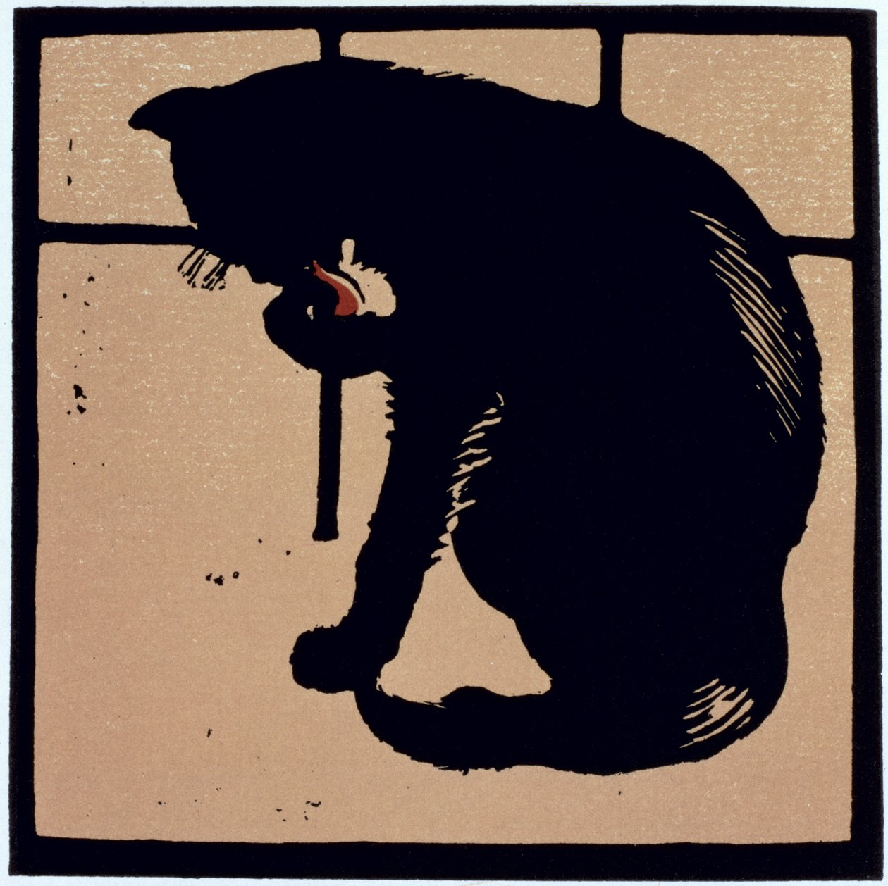 Il Gatto Non Comune, da 