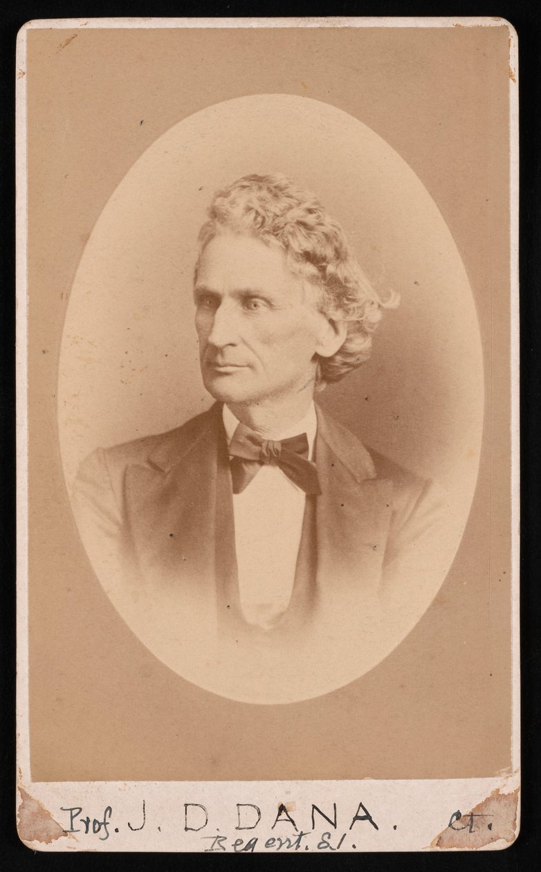 Ritratto di James Dwight Dana, prima del 1891 da William Notman