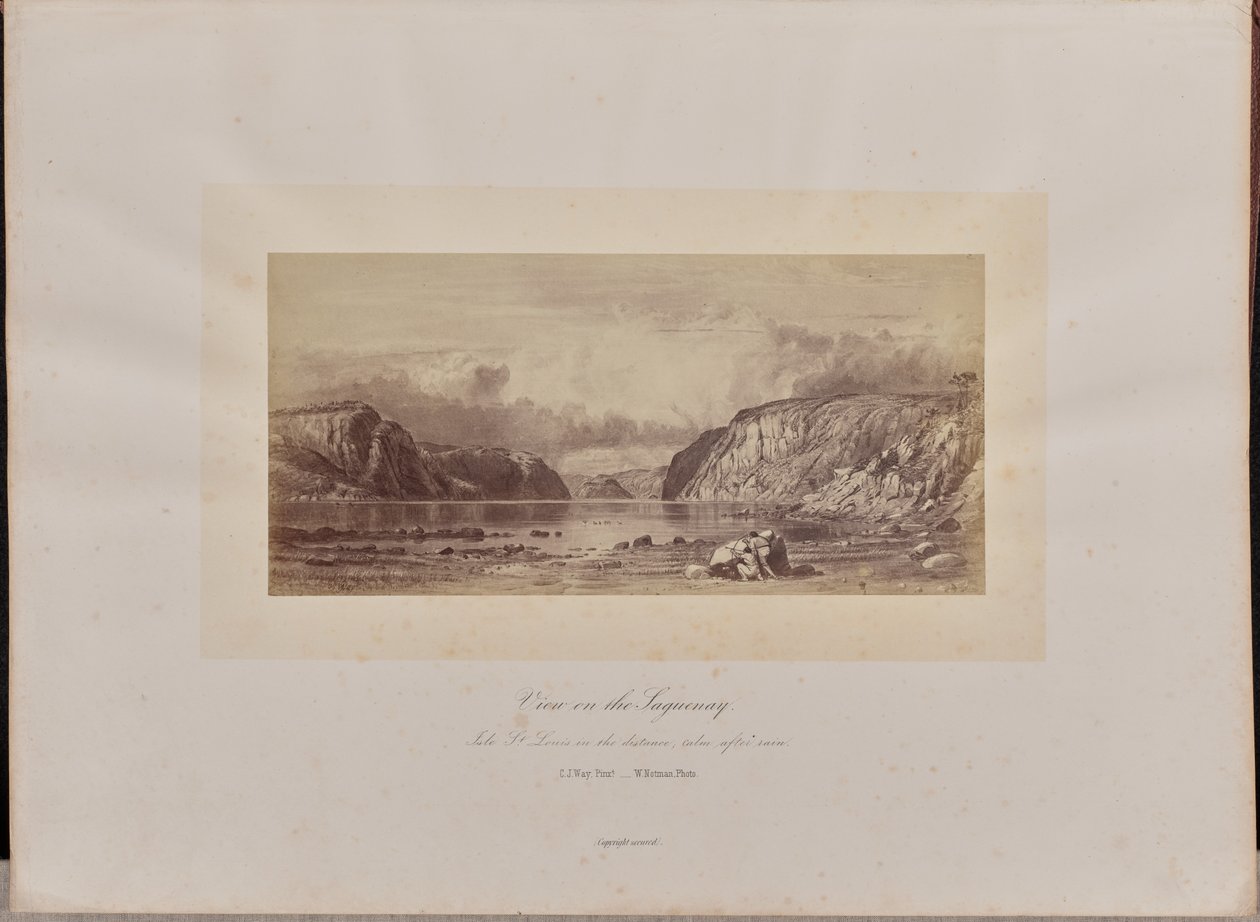 Vista sul Saguenay da William Notman
