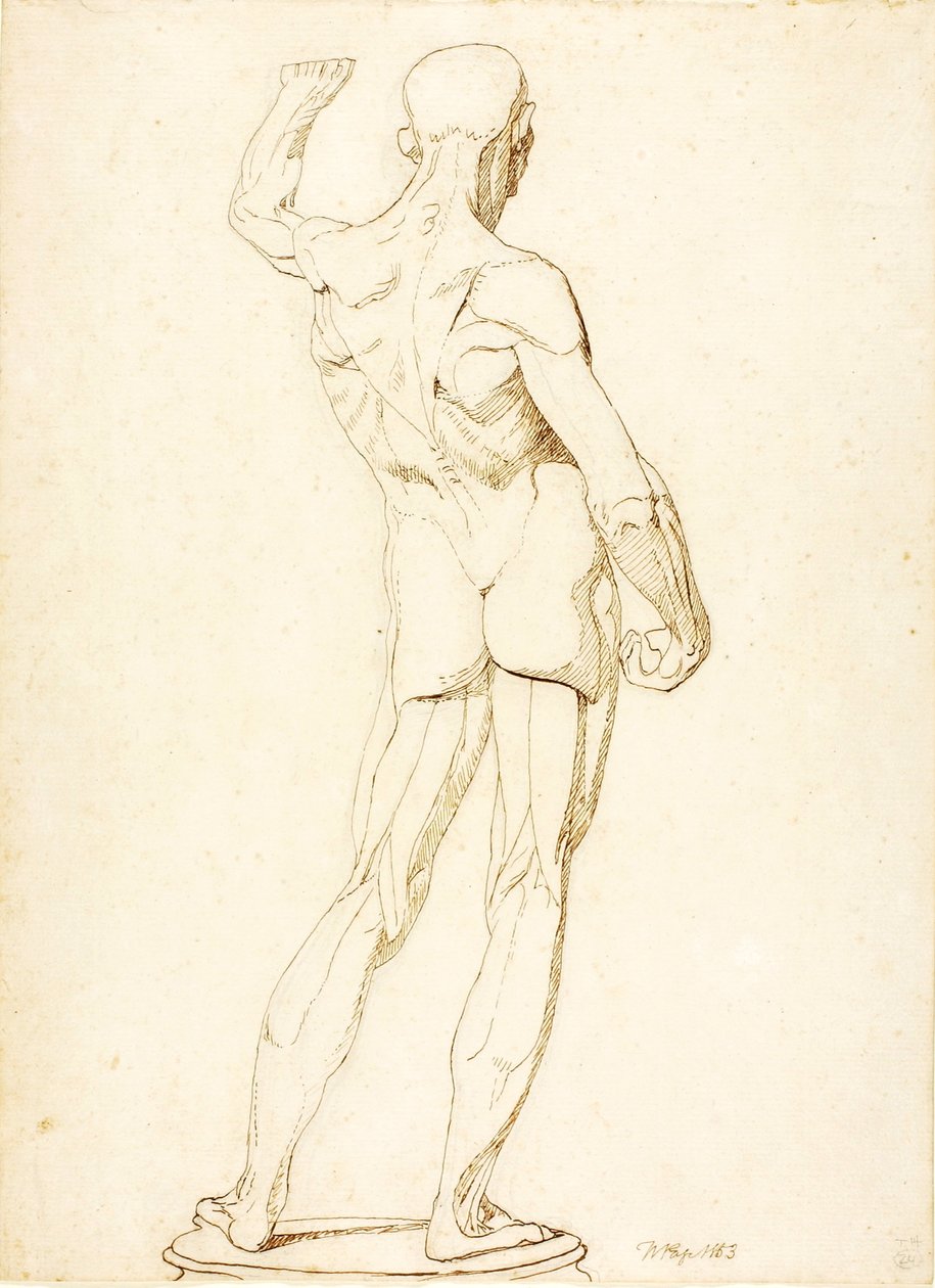 (An Ecorche, Rear View) da William Page