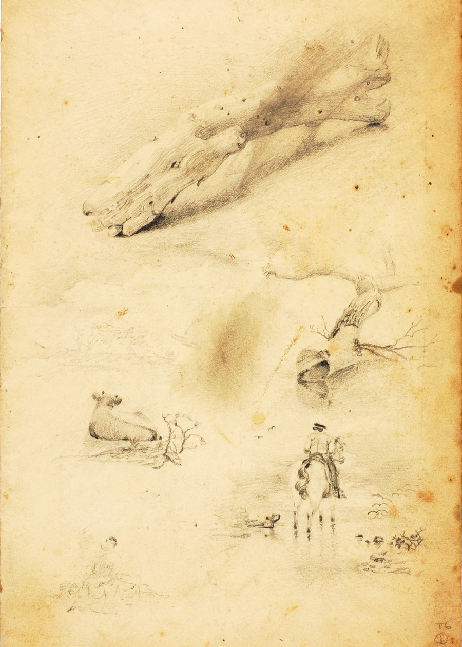 (Studi - figure, tronco, cavallo e cavaliere, ecc.) da William Page