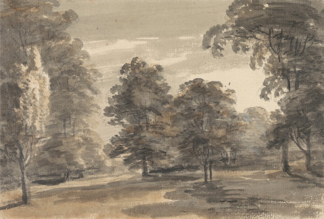 Una radura nel bosco da William Pars