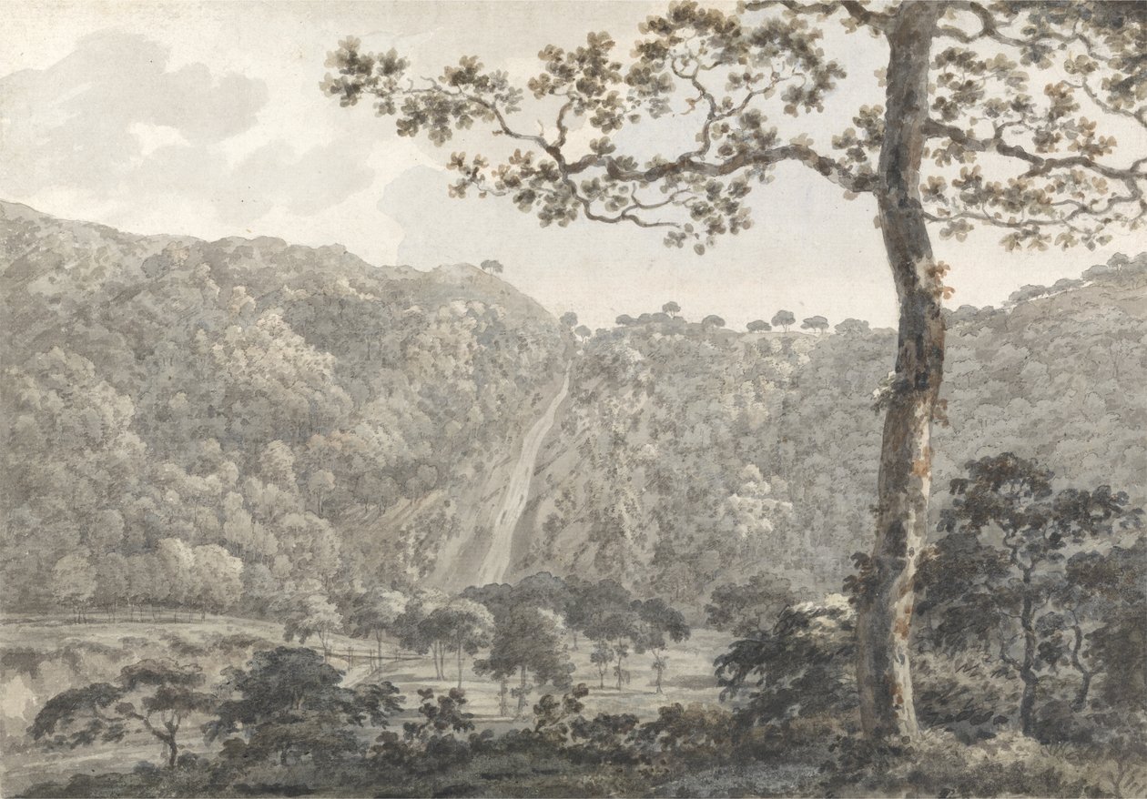 Le cascate a Powerscourt, Co. Wicklow, Irlanda da William Pars