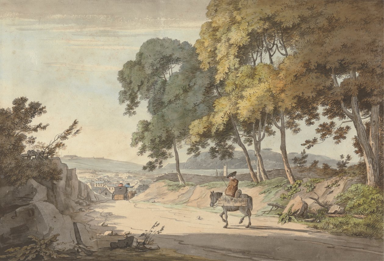 Vista di Plymouth presa dai Sette Alberi, Exeter Road da William Payne