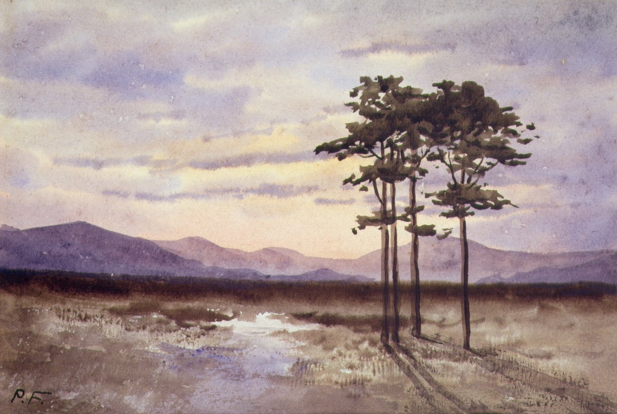 Tramonto, contea di Sligo da William Percy French