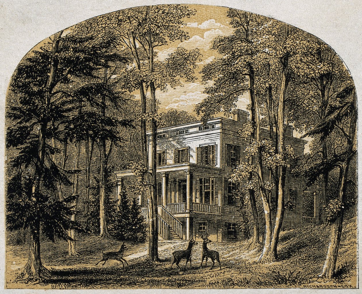 Casa di James John Audubon "Minniesland", pub. c. 1861 (incisione su legno) da William Rickarby Miller
