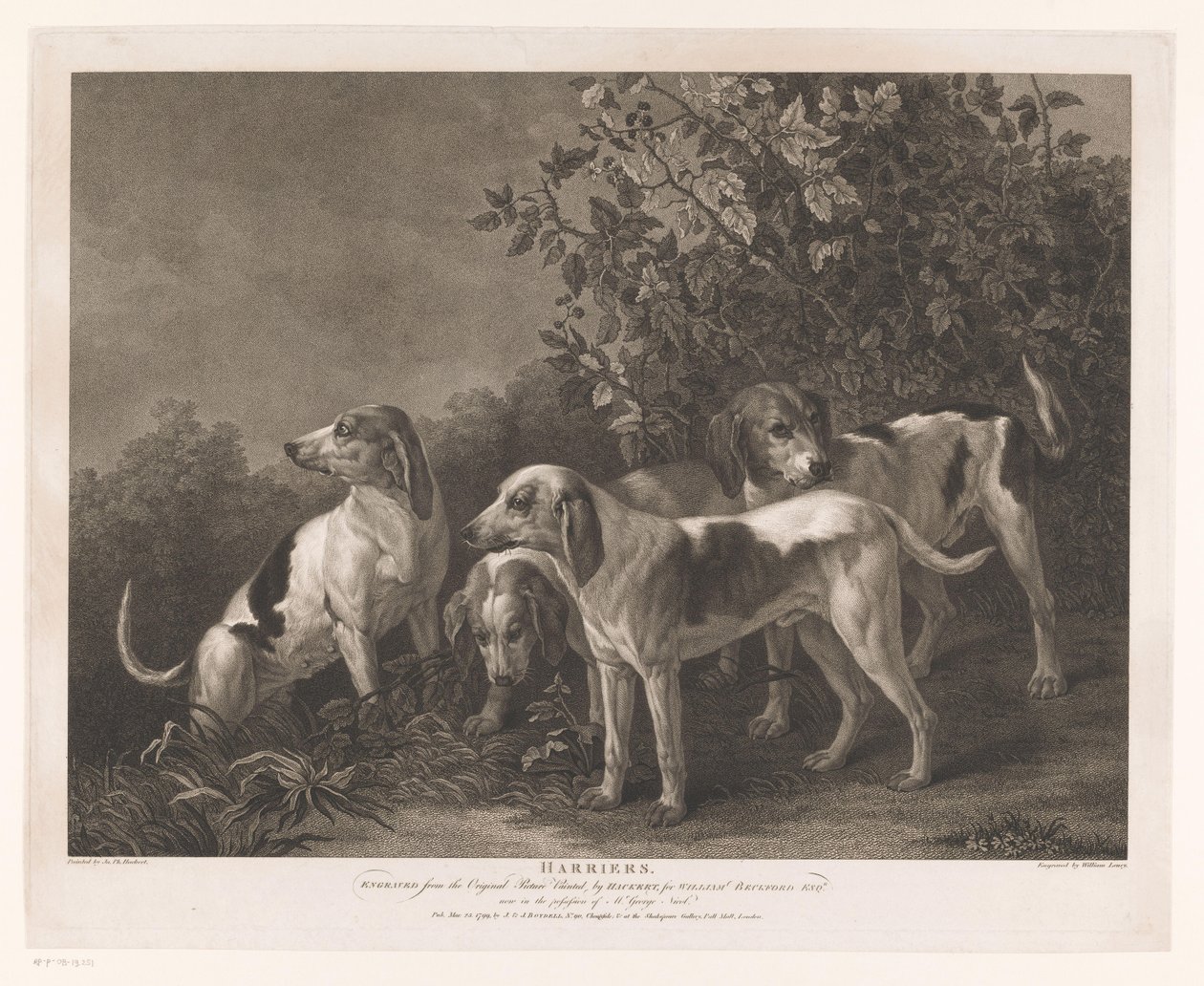 Quattro cani da caccia da William Satchwell Leney