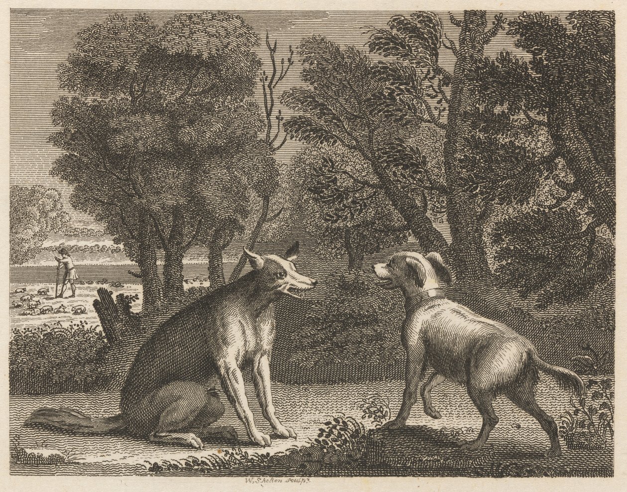 Il Cane del Pastore e il Lupo da William Skelton
