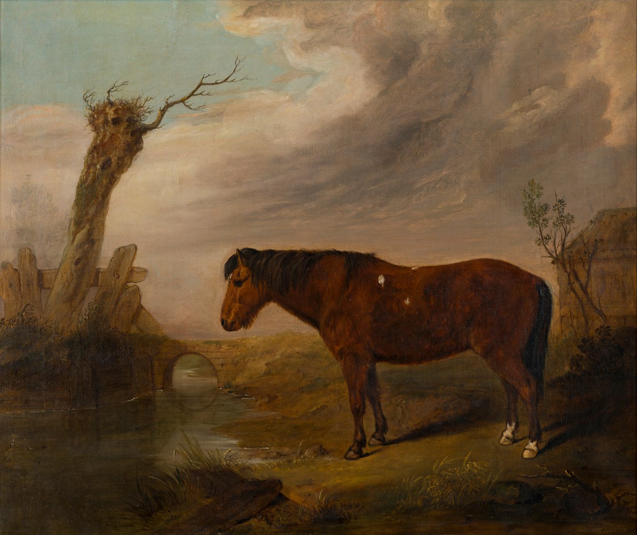 Un pony baio vicino a un fiume, c.1823 da William Smith