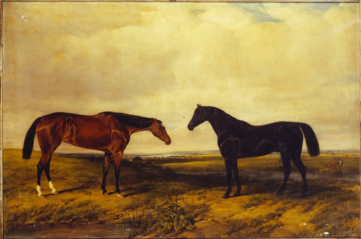 La puledra baia brillante e lo stallone baio scuro del Conte di Granard, 1885 da William Snr. Luker