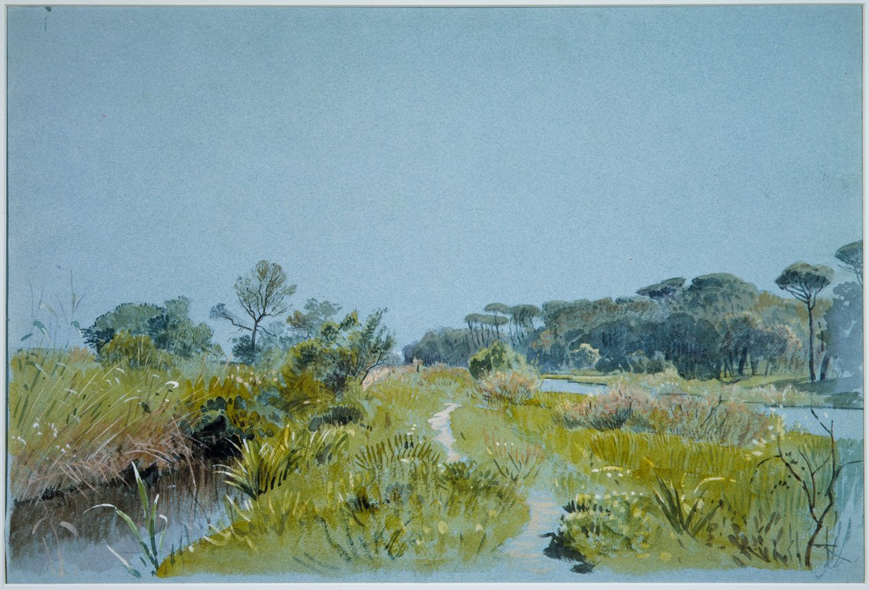 Castel Fusano - vicino a Roma da William Stanley Haseltine