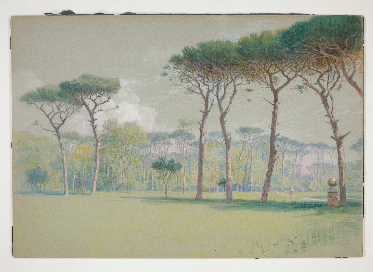 Castel Fusano: paesaggio - vasto prato e alberi da William Stanley Haseltine