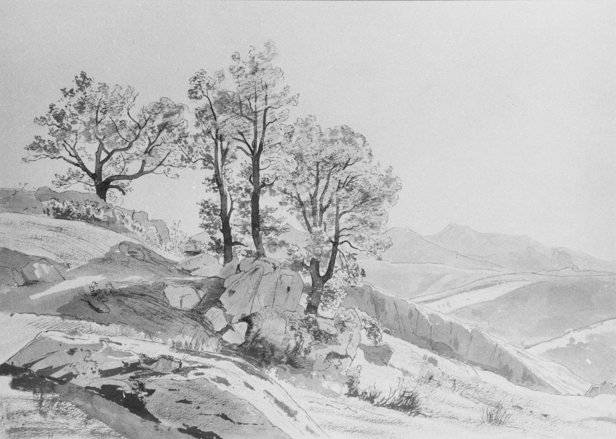 Olevano (Campagna Romana) da William Stanley Haseltine