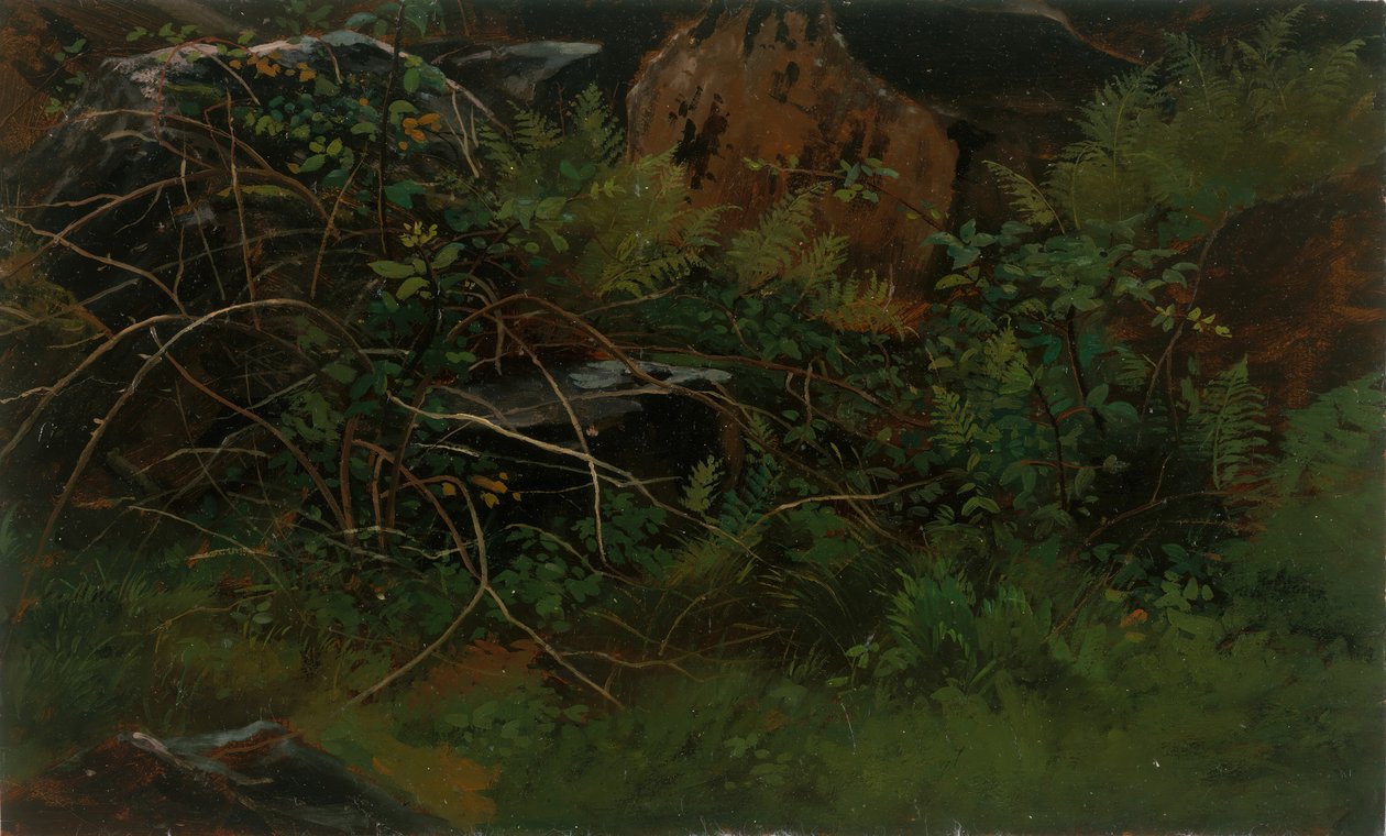 Studio dalla natura da William Stanley Haseltine