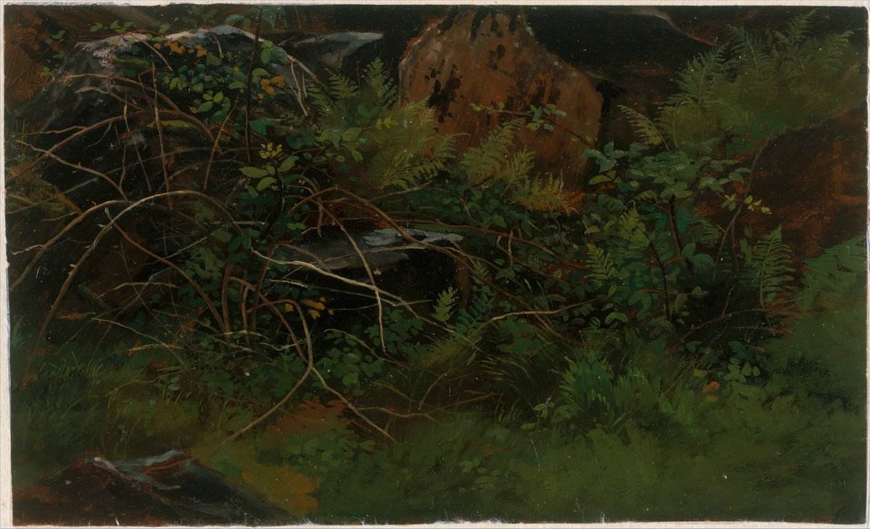 Studio dal vero da William Stanley Haseltine