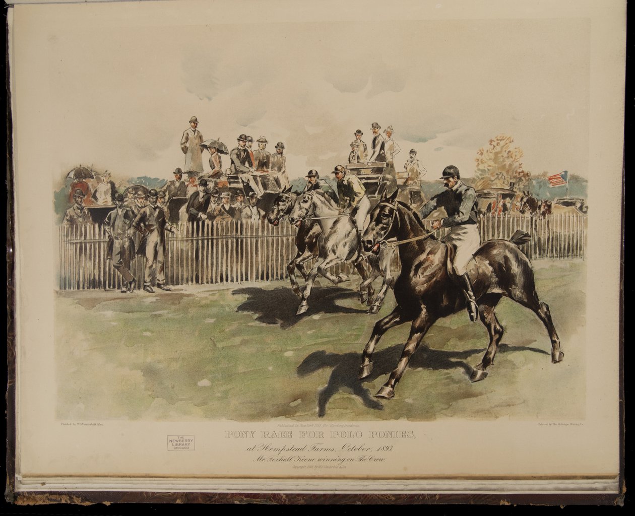 Corsa di pony per polo da William Sullivant Vanderbilt Allen