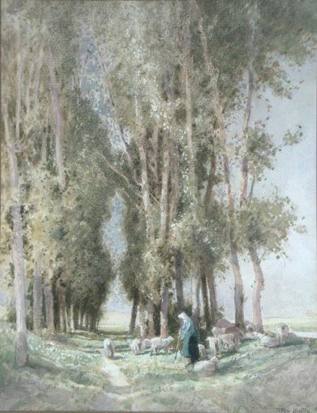 Una pastorella e il suo gregge, Olanda da William Tatton Winter