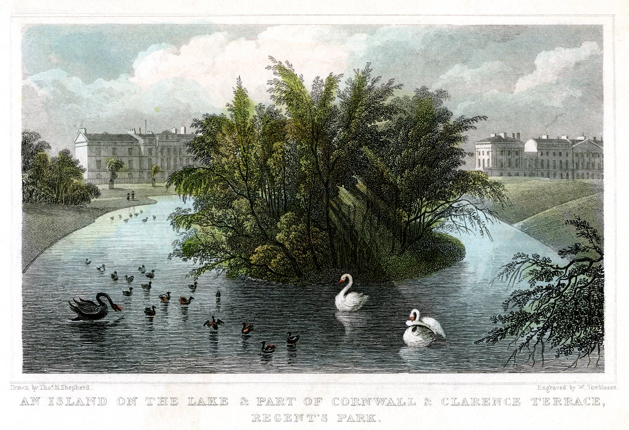 Isola sul lago e Parte delle Terrazze Cornwall e Clarence, Regents Park, Londra, 1828 da William Tombleson