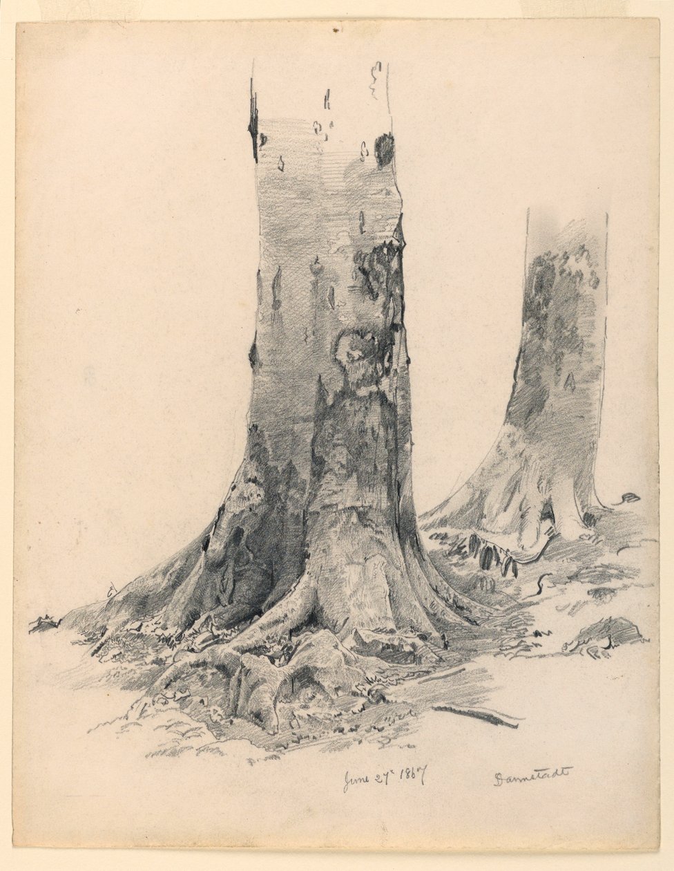Disegno, Tronchi d