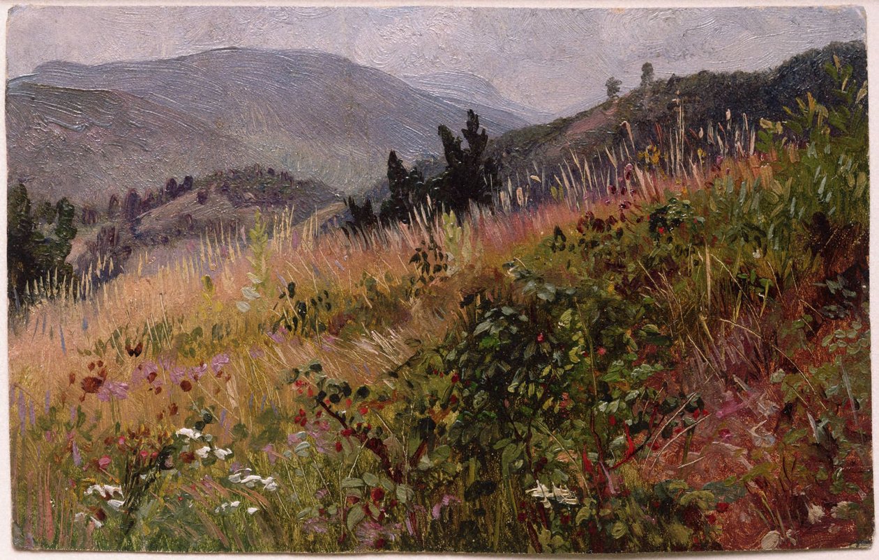 Contea di Essex negli Adirondack da William Trost Richards
