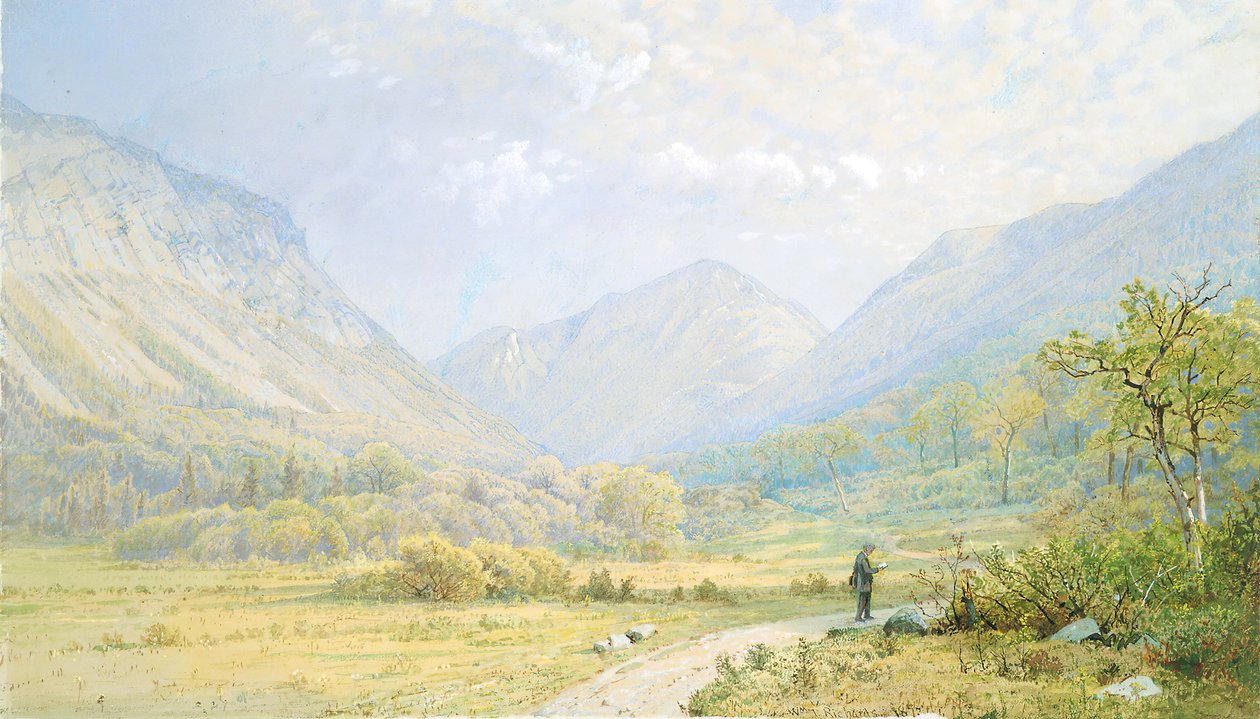 Franconia Notch, New Hampshire da William Trost Richards