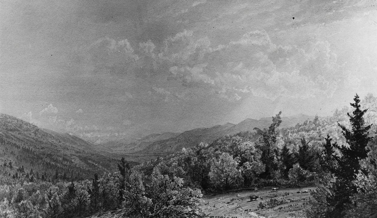 Dalla Flume House, Franconia, New Hampshire, 1872 da William Trost Richards