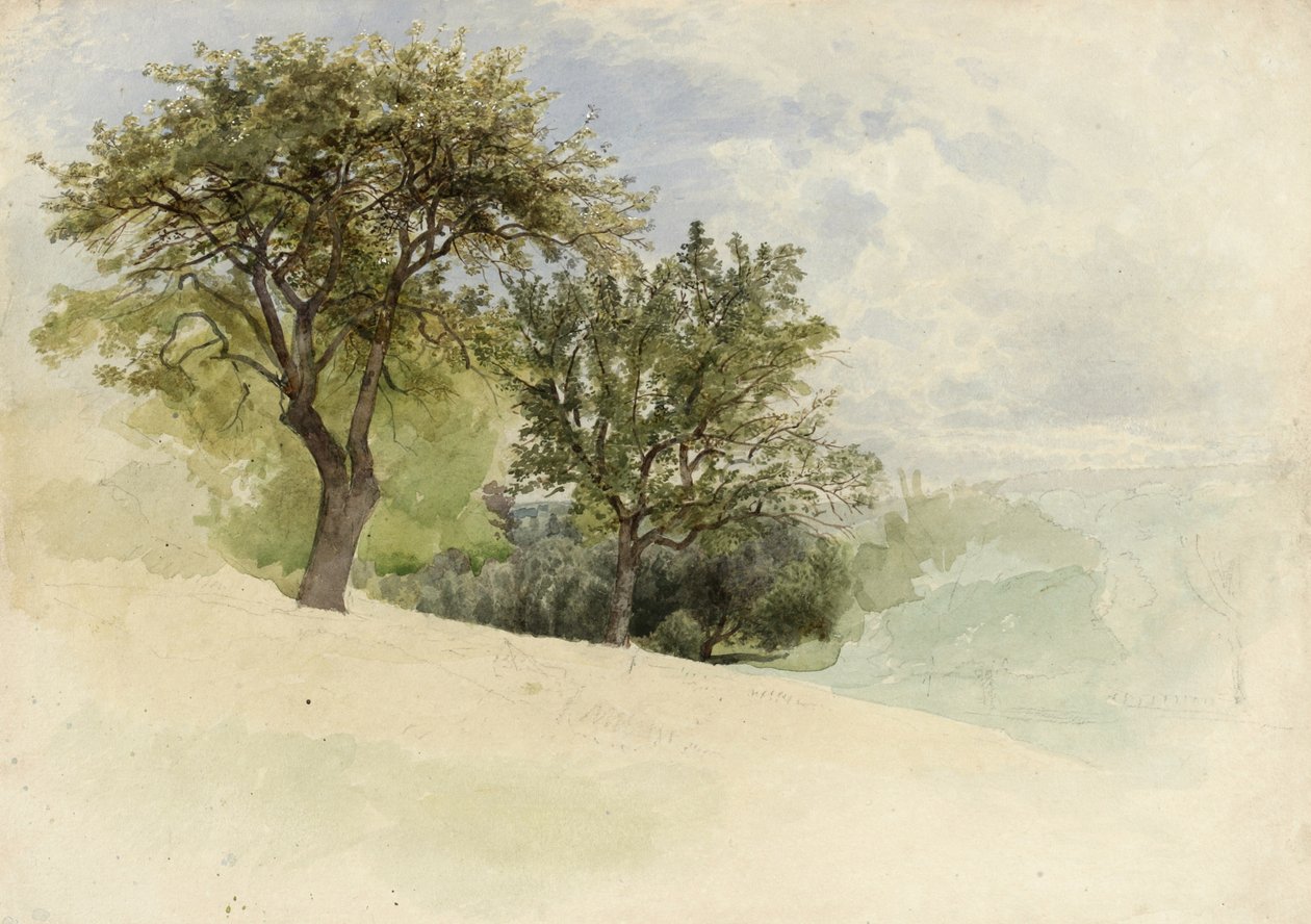 Paesaggio con alberi su un pendio, 1880-85 da William Trost Richards
