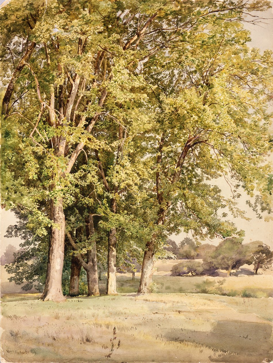 Aceri nella Contea di Chester, Pennsylvania da William Trost Richards