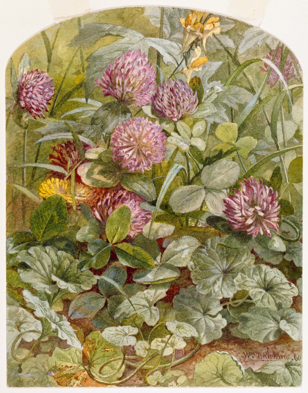 Trifoglio rosso con linaria e edera terrestre da William Trost Richards