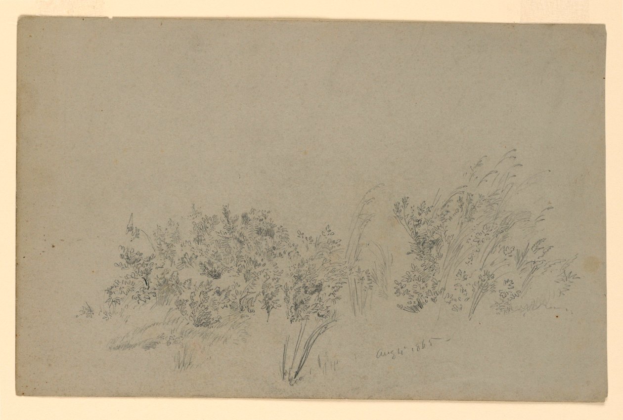 Studio di Foliage da William Trost Richards